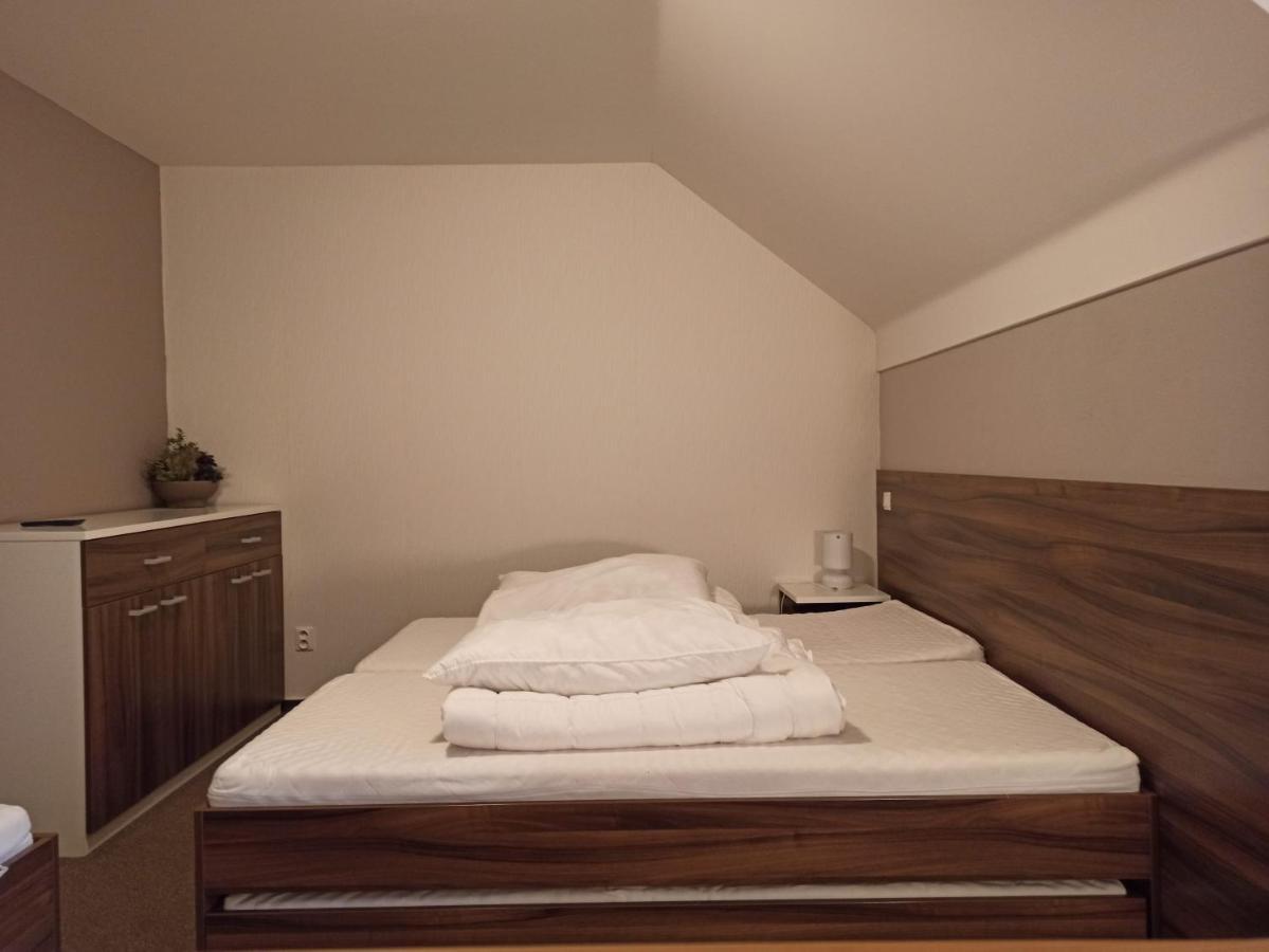 Апартаменты Mezonetovy Apartman Kouty Nad Desnou Лоучна-над-Десноу Экстерьер фото