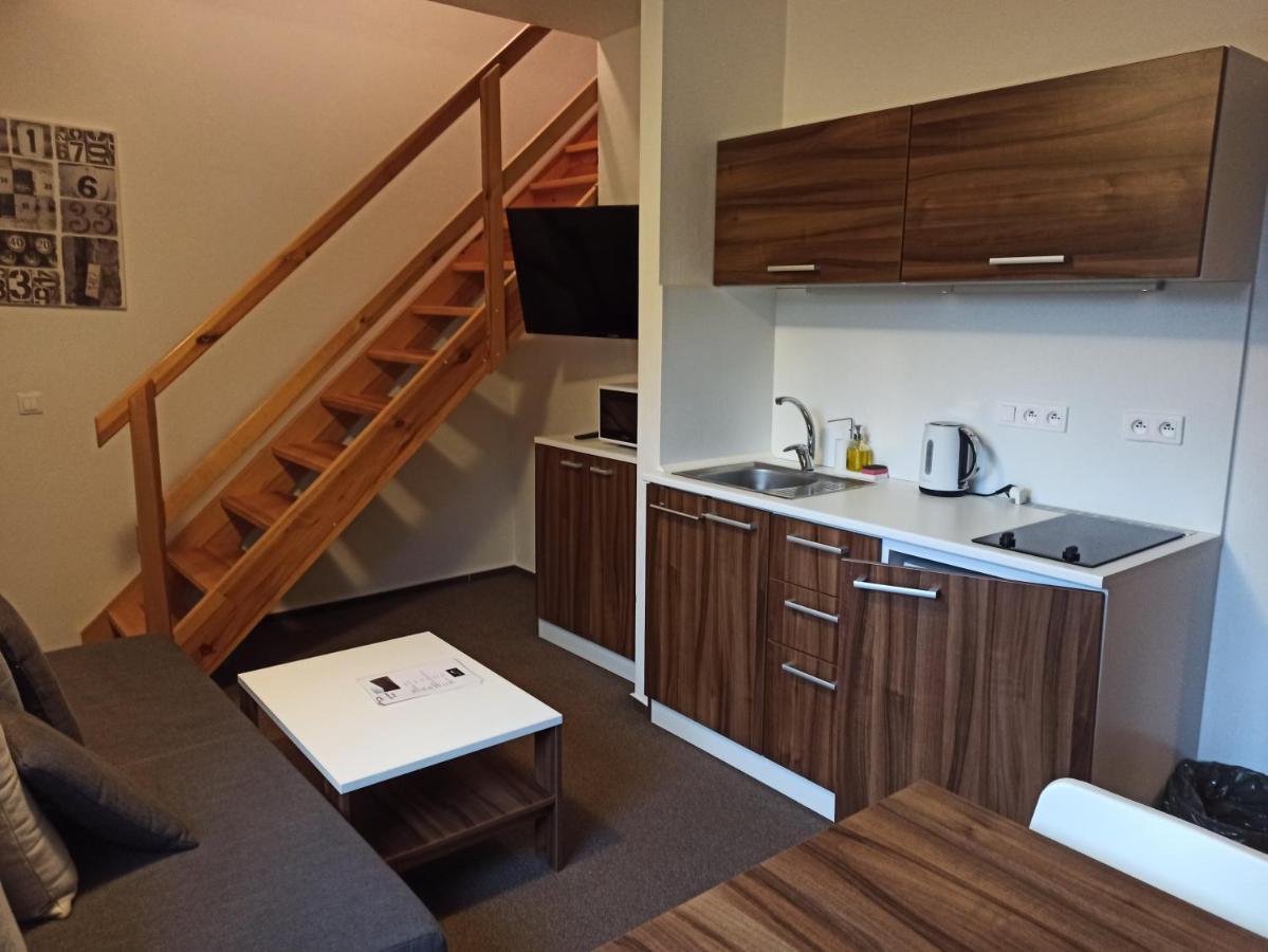Апартаменты Mezonetovy Apartman Kouty Nad Desnou Лоучна-над-Десноу Экстерьер фото